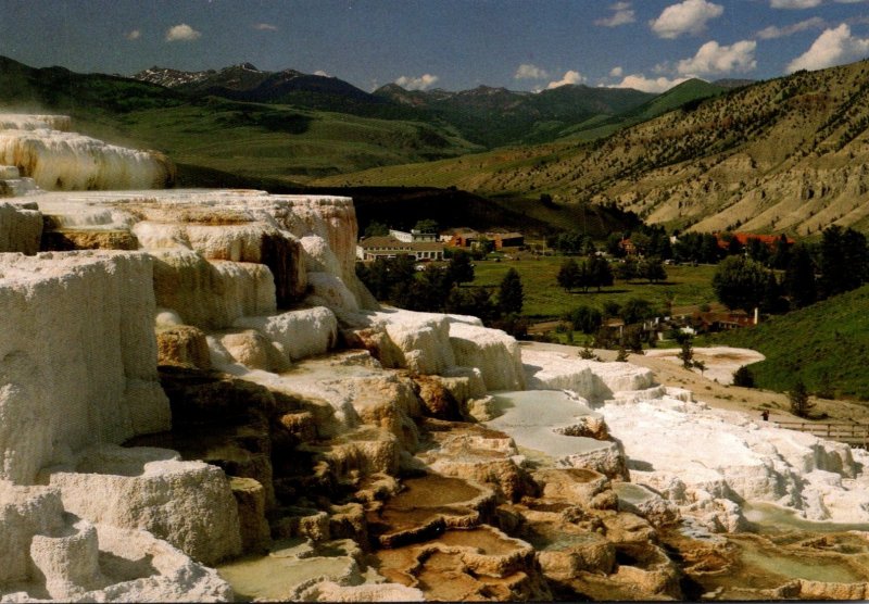 Yellowstone National Park Minerva Terrace