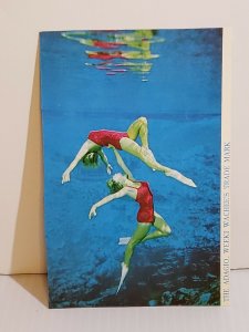 Postcard Florida Mermaid performers water ballet Wekki Wachee Two Sided   433