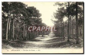 Old Postcard Arcachon View in the Dunes