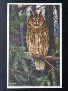 Bird Theme LONG EARED OWL Artist H.J. Slijper c1950s Postcard by R.S.P.B.