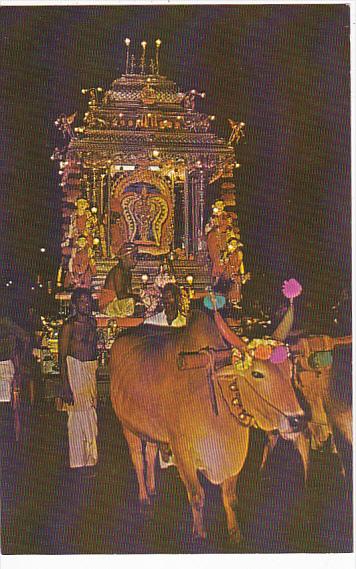 Singapore Thaipusam Festival