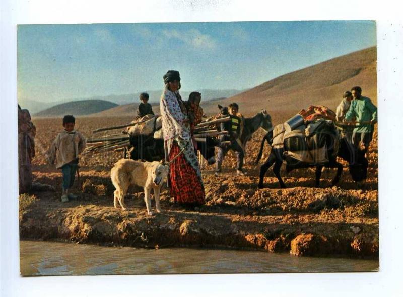 192797 IRAN SHIRAZ Faars tribes dress old photo postcard