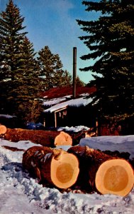 Logging Sawmill In The Wintertime