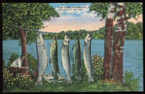 I am some fisherman. Believe it or not. E.C. Kropp linen card. 1930s