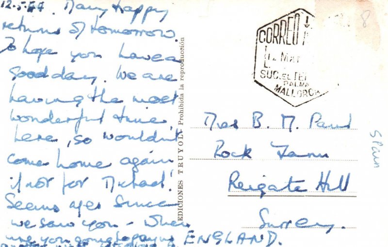 Palm Trees,Palma de Mallorca,Spain