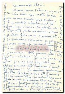 Modern Postcard Cats Kittens