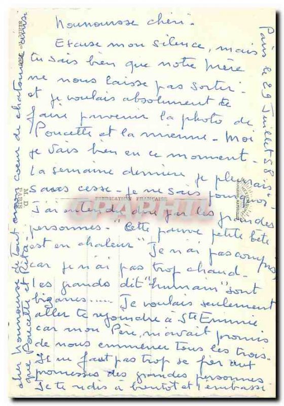 Modern Postcard Cats Kittens