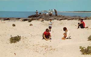 Looking For Shells On The Sands Lighthouse in The Background - Cape May, New ...