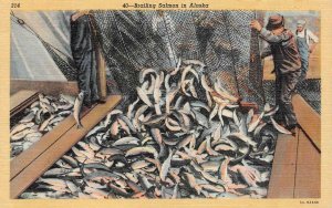 AK, Alaska  BRAILING SALMON  Fishermen~Fish~Fishing Nets  c1940's Postcard