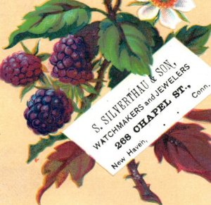 1870s-80s S. Silverthau Watchmakers Jewelers Blackberries Blossoms P74