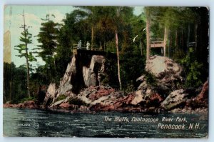 c1913 Penacook New Hampshire NH Vintage Postcard Bluffs Contoocook River Park