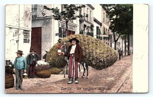 SEVILLLA, Spain ~ Street Scene UN VENDEDOR de PAJA 1907 Postcard