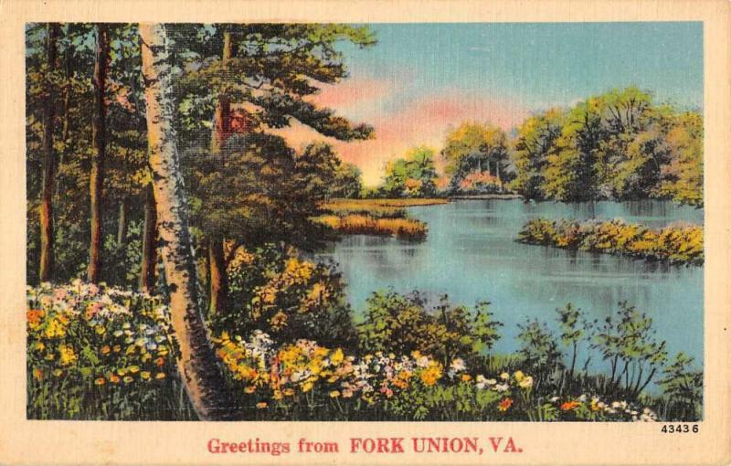 Fork Union Virginia Spring Lake Waterfront Greeting Antique Postcard K72184