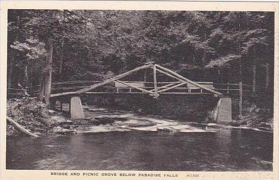Pennsylvania Paradise Falls Bridge And Picnic Grove below Paradise Falls  Alb...