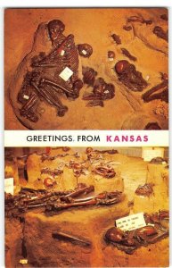 Salina, Kansas INDIAN BURIALS Native Americana Archaeology '60s Vintage Postcard