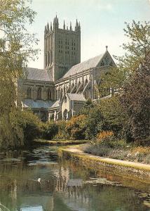 B101752 wells cathedral somerset from bishop s palace   uk