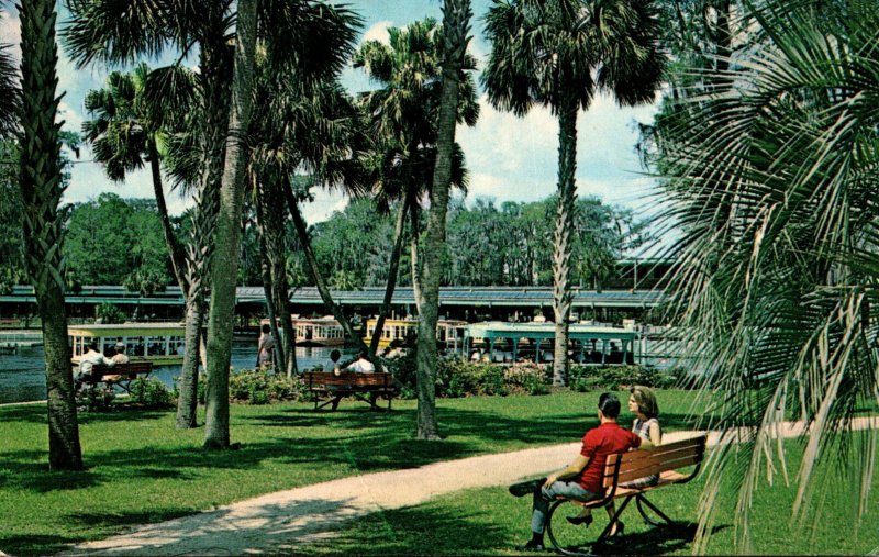 FLorida Silver Springs Landscaped Park Along Spring Basin