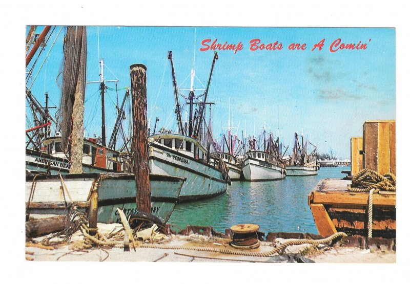 Shrimip Boats at Harbor Key West Florida Postcard Marty Gold Photographer