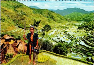 The Banawe Rice Terraces Philippines Postcard PC70