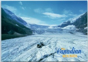 M-12856 Columbia Icefield The Canadian Rockies Canada