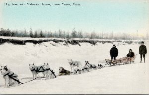 Dog Team w/ Malamute Harness Lower Yukon AK Alaska Sled Dogs Unused Postcard E96