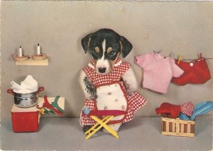 Humanized Lady Dog  at work Nice  modern German postcard