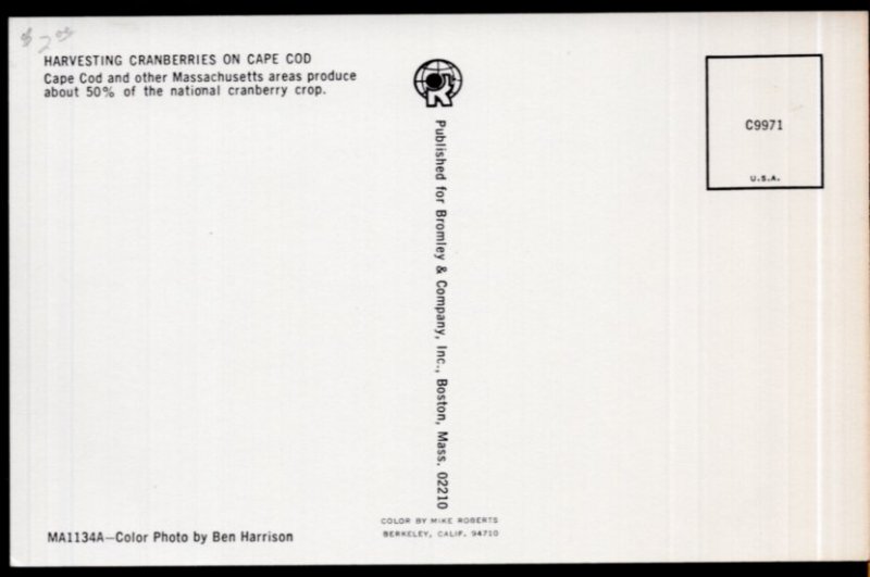 Massachusetts CAPE COD Harvesting Cranberries - Chrome