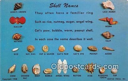 Shell Names Unused 