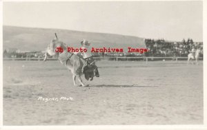 NV, Winnemucca, Nevada, RPPC, Rodeo, Cowboy Riding Bull, H.J. Rogner Photo