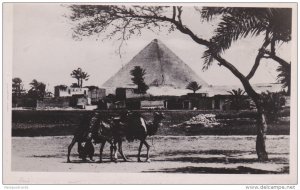 Khouphou Pyramids, Men and Camels Passing By, CAIRO, Egypt, 20-30´s