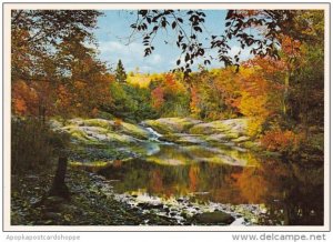 Canada A Placid Pool Autumn In Northern Ontario