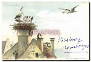 Old Postcard Back Storks nest