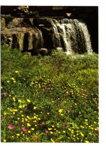 Country Scene with Waterfall and Wildflowers