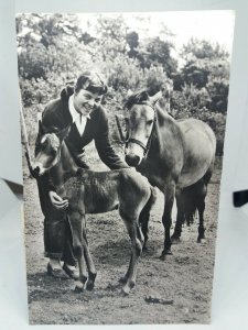 Young Girl with Horse & Her Foal Beautiful Vintage 1950s Real Photo Postcard