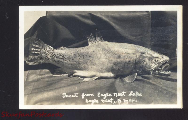 RPPC EAGLE NEST NEW MEXICO TROUT FISHING FISH CATCH VINTAGE REAL PHOTO POSTCADR