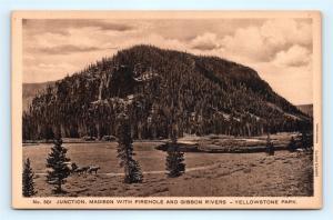 Postcard WY Yellowstone Park Haynes 500 Series Madison Firehole Gibbon River L03