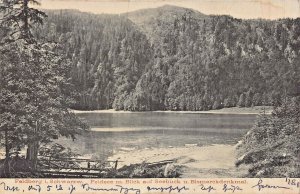 FELDBERG SCHWARZW GERMANY~FELDSEE BLICK- SEEBUCK BISMARCKDENKMAL~1908 POSTCARD