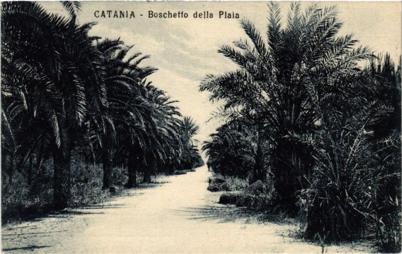 CPA CATANIA Boschetto della Plaia . ITALY (468777)