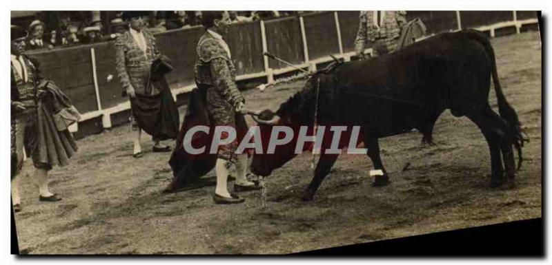 PHOTO CARD Bullfight Bullfight