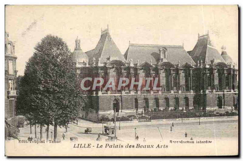 Old Postcard Lille Palace of Fine Arts
