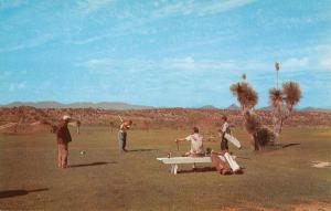 Wickenburg Arizona Country Club Golf Course Vintage Postcard K72590