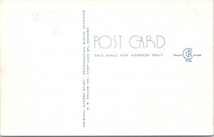 IL, Illinois White Pines Forest State Park  RUSTIC BRIDGE  C.R. Childs Postcard