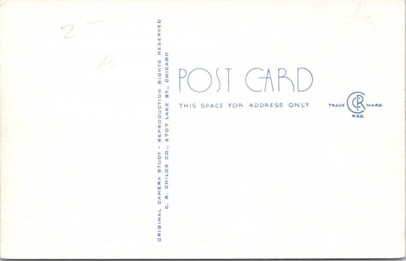 IL, Illinois White Pines Forest State Park  RUSTIC BRIDGE  C.R. Childs Postcard