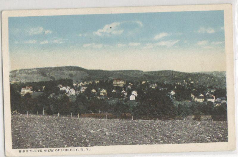 Birds Eye View Liberty NY 1920