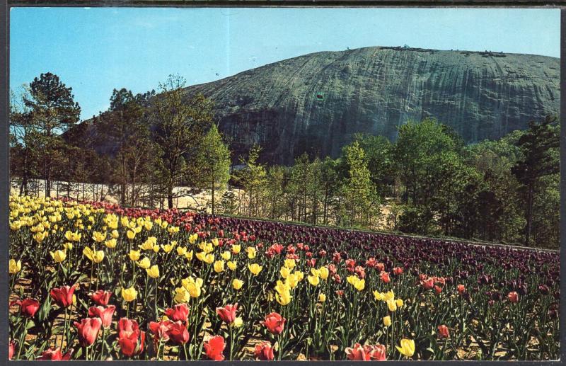 Stone Mountain,Near Atlanta,GA