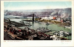 The Point, Overlooking River Pittsburgh PA Undivided Back Vintage Postcard V02