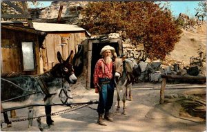 Postcard FARM SCENE Knotts Berry Farm California CA AM9435