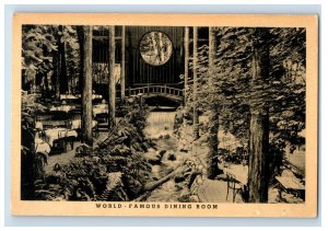 Brookdale Lodge  Big Trees Santa Cruz California Vintage Postcard F52