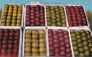 Boxes Of Prize Winning Apples