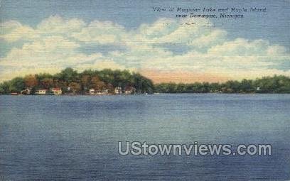 Magician Lake and Maple Island - Dowagiac, Michigan MI  